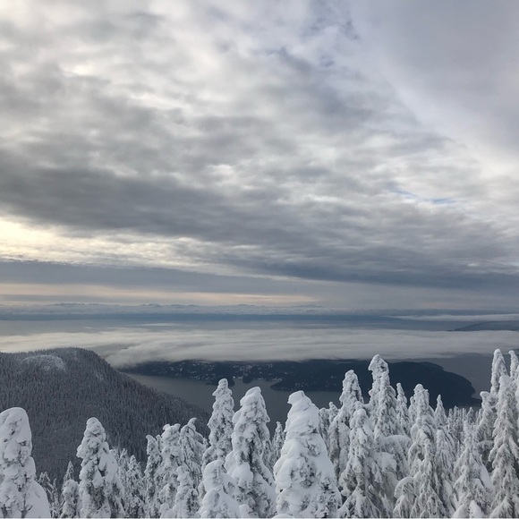 Meet your Posher, Sarah - Picture 5 of 5